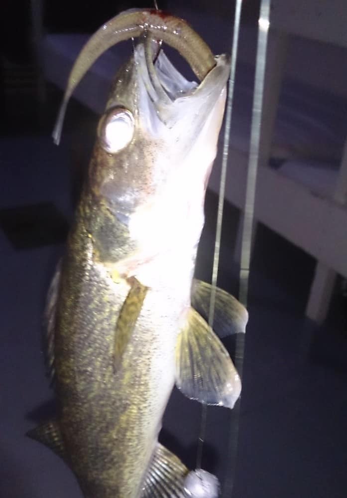 Ice Fishing February 17, 2015 DSC_0017