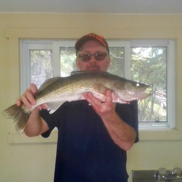 Another Keeper Walleye Great Opening Season. Another keeper Walleye