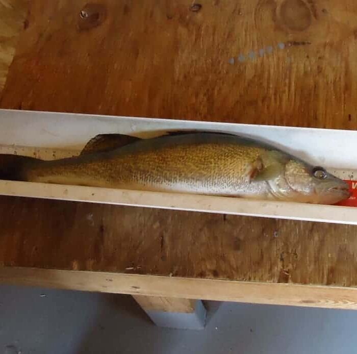 A great afternoon of ice fishing ???????????????????????????????