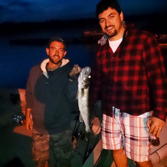 Nice Catch Nice Catch