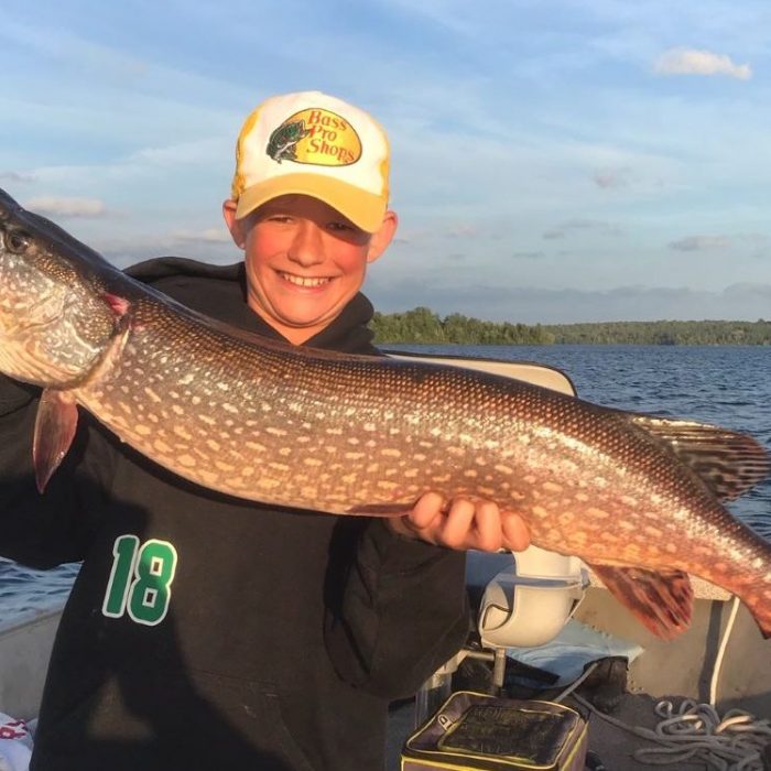 Monster Pike Monster Pike caught in Lake Nipissing